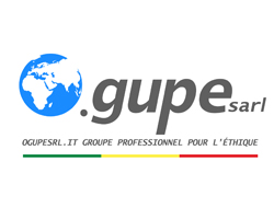 Logo partner Ogupe